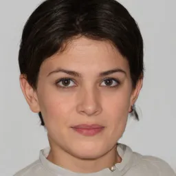 Edebiyatçı Ali avatar